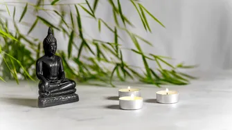 Floarea care poate alunga energiile negative din casă. Nu necesită îngrijire specială