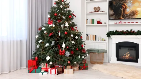 Trucul nemților pentru un brad tăiat care rămâne verde până în ianuarie