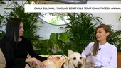 Carla Buleanu, psiholog: beneficiile terapiei asistate de animale