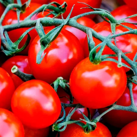 Beneficiile licopenului din roșii pentru sănătate și anti-îmbătrânire