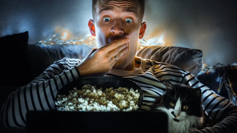 Alimente de sărbători periculoase pentru câini și pisici. Ce să eviți pentru siguranța necuvântătorului tău