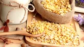 Consumul de soia: argumente PRO şi CONTRA