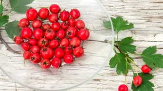 Leacul Mariei Treben pentru inimă obosită și circulație deficitară. Se mai numește și „planta inimii”