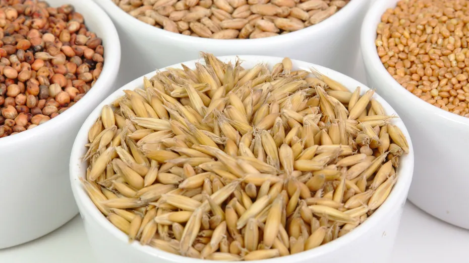 Cele mai bune alimente pentru colon. Ce să mănânci ca să elimini toxinele din intestine