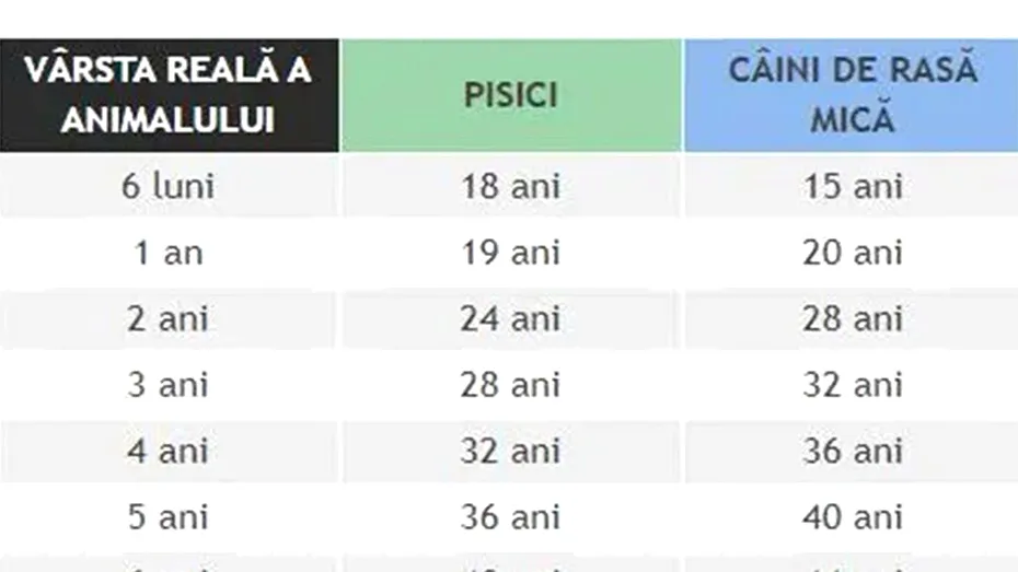 Tabel pentru câini și pisici | Ce vârstă are animalul tău de companie, în ani omenești, în funcție de rasă și de câți ani are acum