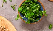 „Eroul ascuns din grădină” pe care îl poți mânca. Planta mică, dar surprinzătoare, care devine tot mai populară în bucătăriile urbane