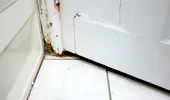 Metoda rapidă de 2 minute care previne definitiv apariția mucegaiului în baie