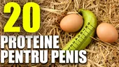 20 de surse de proteină pentru penis
