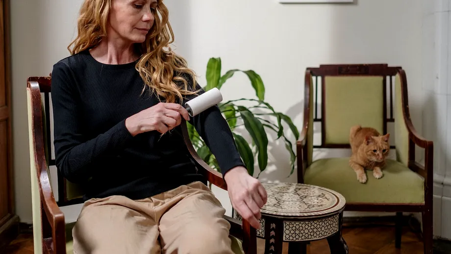 Cele mai bune animale de companie de adoptat în cazul în care te confrunți cu alergii