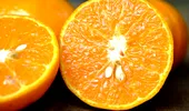 Ce se întâmplă dacă înghiți sâmburii de portocală. Sunt periculoși sau nu?