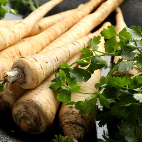 Cum deosebești păstârnacul de rădăcina de pătrunjel. La ce să fiți atenți