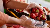 Surpriză neașteptată într-o caserolă cu căpșuni! Ce a descoperit un bucureștean după ce a ajuns acasă