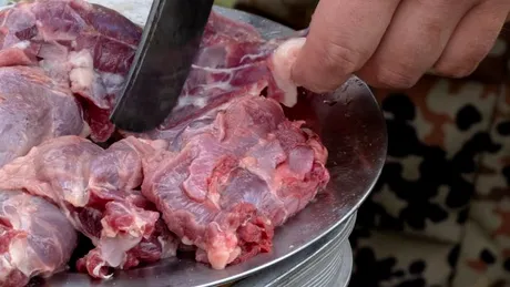 Suspiciune de ciumă neagră în Mongolia, după ce două persoane ar fi consumat carne crudă de marmotă