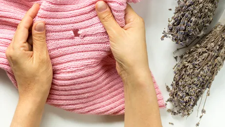 Scapă definitiv de moliile din dulap. Trucuri simple care chiar funcționează. Trebuie să le puneți neapărat în aplicare!