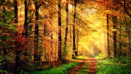 Astenia de toamnă - simptome şi remedii