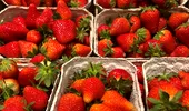 Căpșunile au apărut în piețele din Capitală. Cât a ajuns să coste 1 kg?