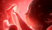 Premieră medicală: prima sarcină prin fertilizare in vitro obţinută ca urmare a unei proceduri de screening genetic preimplant