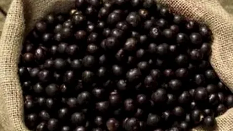 Noul super fruct care te poate ajuta sa slabesti: maqui berry
