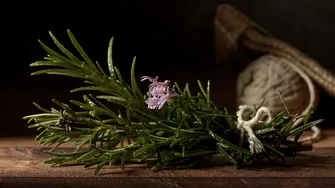 Planta aromatică ce poate susține memoria și concentrarea. Cum se folosește și ce contraindicații are