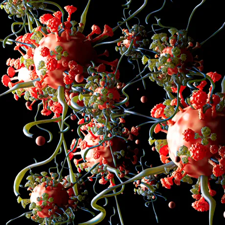 Celulele umane îmbătrânite pot fi „reîncărcate”. O descoperire care ar putea schimba total medicina