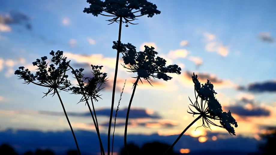 Echinocțiul de toamnă 2025. Momentul astronomic ce marchează intrarea oficială în sezonul rece