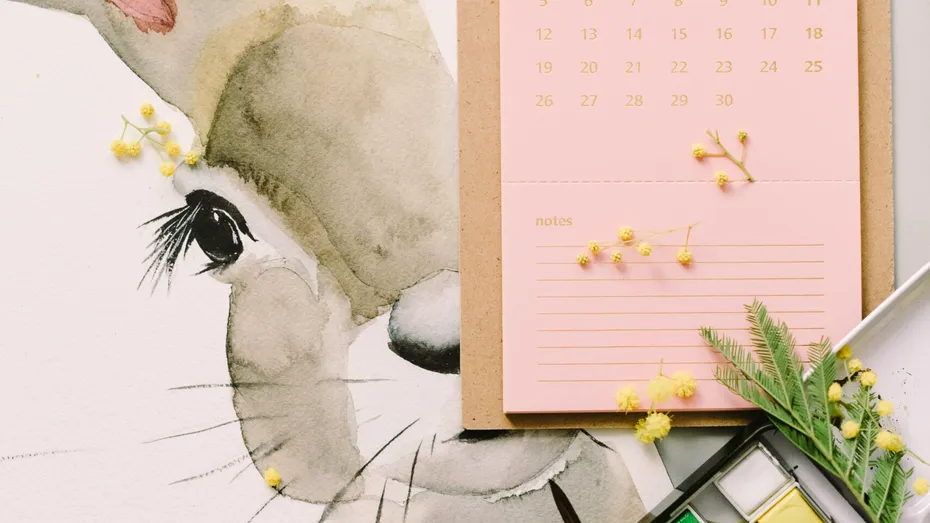 Copilul tău cere mereu jocuri noi? Jucați-vă cu un calendar vechi – un joc fără bani de la germani