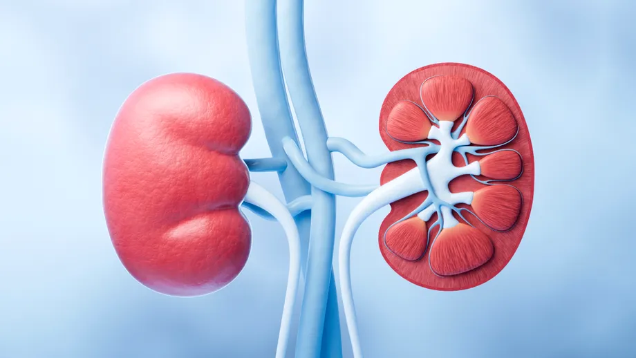 Culoarea urinei care poate indica probleme la rinichi. Explicația medicilor