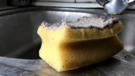 Mare atenție la aceste obiecte pe care le folosești zilnic. Sunt mai murdare decât vasul de toaletă!