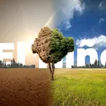 „Super El Niño”, fenomenul care poate schimba vremea la nivel global. Ce efecte ar putea avea