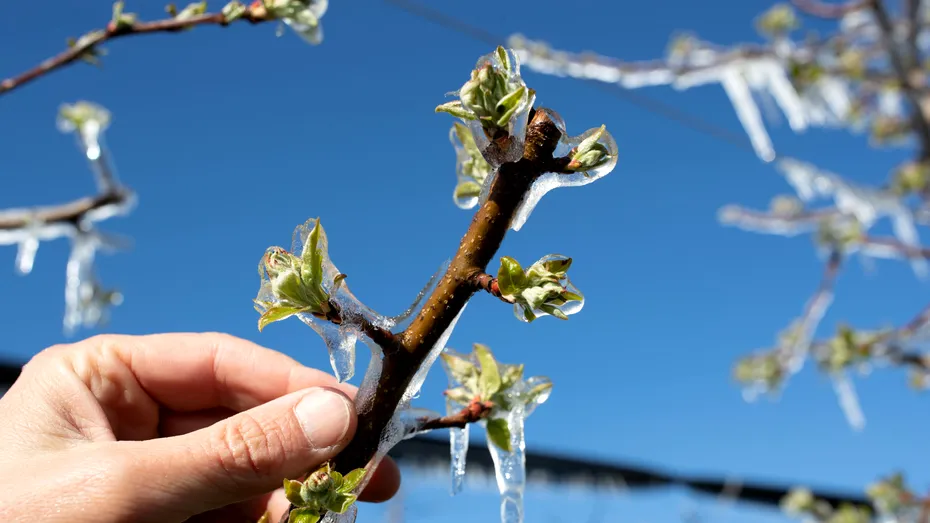 Ce trebuie să știe românii care stau la curte. Cum îți îngrijești grădina pe timp de iarnă