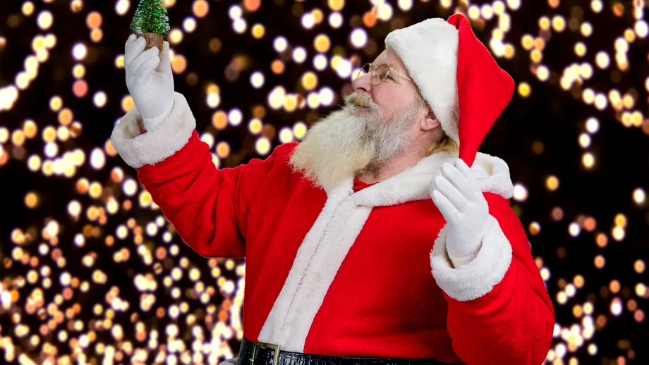 Brad natural sau brad artificial?  - VIDEO by CSID