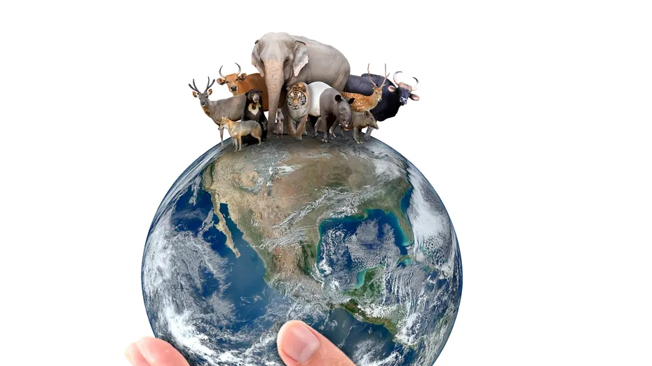 Animalul care trăiește cel mai mult de pe Terra. Poate ajunge și la 2.000 de ani