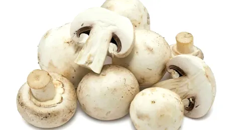 Cum să păstrezi ciupercile proaspete mai mult timp. Ele conțin multă apă și se alterează ușor