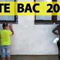 Rezultate la Bacalaureat 2025 | Notele pe județe la BAC, publicate pe site-ul EDU.RO