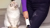 Ce trebuie să pui în cuva mașinii de spălat să scapi de tot părul de animale de pe haine. Îl curăță pe tot!