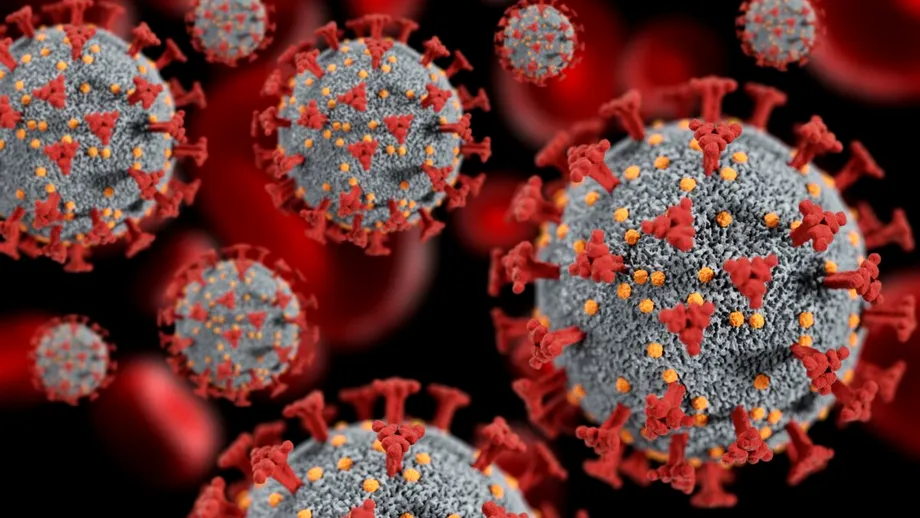 Avertisment global: o „ciupercă mortală” ar putea deveni una dintre cele mai serioase amenințări pentru sănătate