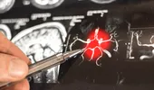 O moleculă din creier ar putea alimenta boala Alzheimer. Studiile au evidențiat un „comutator” al inflamației
