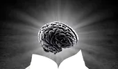 4 metode eficiente pentru a-ţi menţine creierul în formă maximă