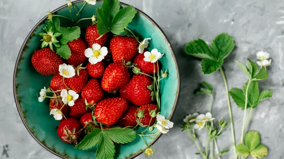 Cum să obții multe căpșuni dulci dintr-un singur fruct. Trucul simplu pentru a le cultiva pe balcon