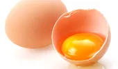 Gălbenuşul de ou – atât de incriminat, şi totuşi atât de sănătos