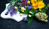 10 flori pe care poți să le mănânci. Beneficiile incredibile ale florilor comestibile