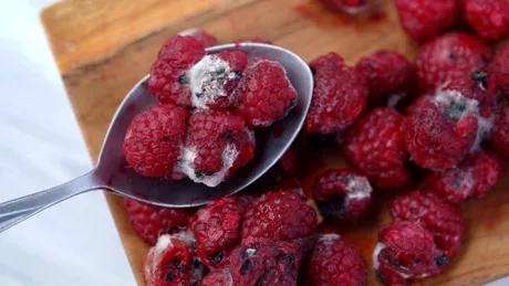 Alimente pe care le poți consuma chiar și după ce au prins mucegai