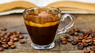 Originile preistorice ale Cafelei Arabica. Este mai veche decât Homo Sapiens