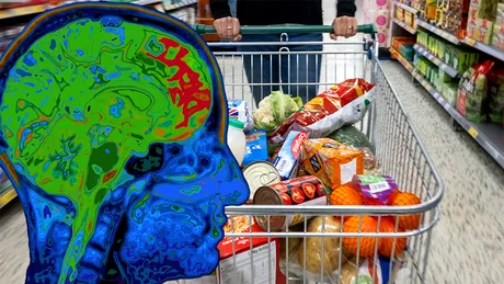 Alimentul de 4 lei care repară celulele creierului. Este preferatul nutriționiștilor pentru un creier sănătos și agil