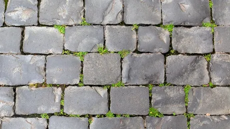 Soluție naturală pentru buruienile din curte: cu oțet, sare și un ingredient secret! Rezultatele apar în câteva ore