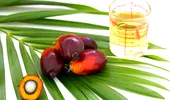 Uleiul de palmier: bun sau rău pentru sănătatea ta?