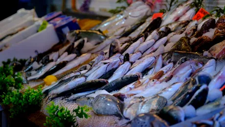 OMS a decis: Acesta e cel mai sănătos pește din lume. Costă doar 20 lei/kg în supermarketurile din România