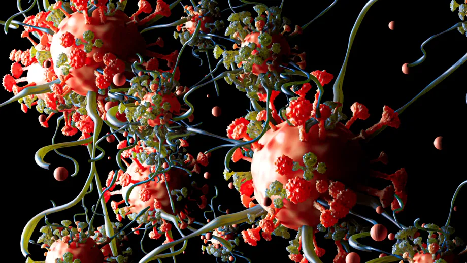 Celulele umane îmbătrânite pot fi „reîncărcate”. O descoperire care ar putea schimba total medicina