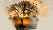 Oamenii și copacii - asocieri psihologice și lecții de viață