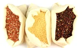 Reţete Quinoa uşor de preparat